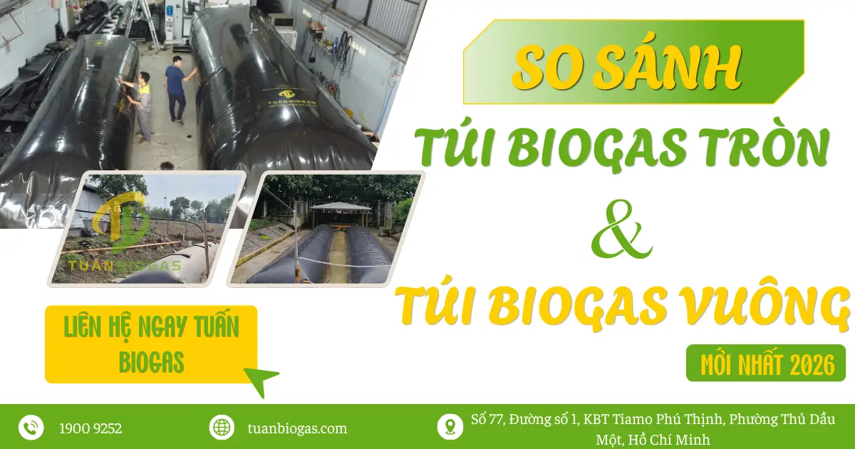 So Sánh Túi Biogas Vuông Và Túi Biogas Tròn Mới Nhất 2026: Đâu Là Lựa Chọn Tối Ưu Cho Nông Hộ?